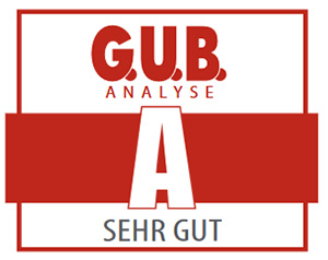 TSO AP4 GUB-Analyse